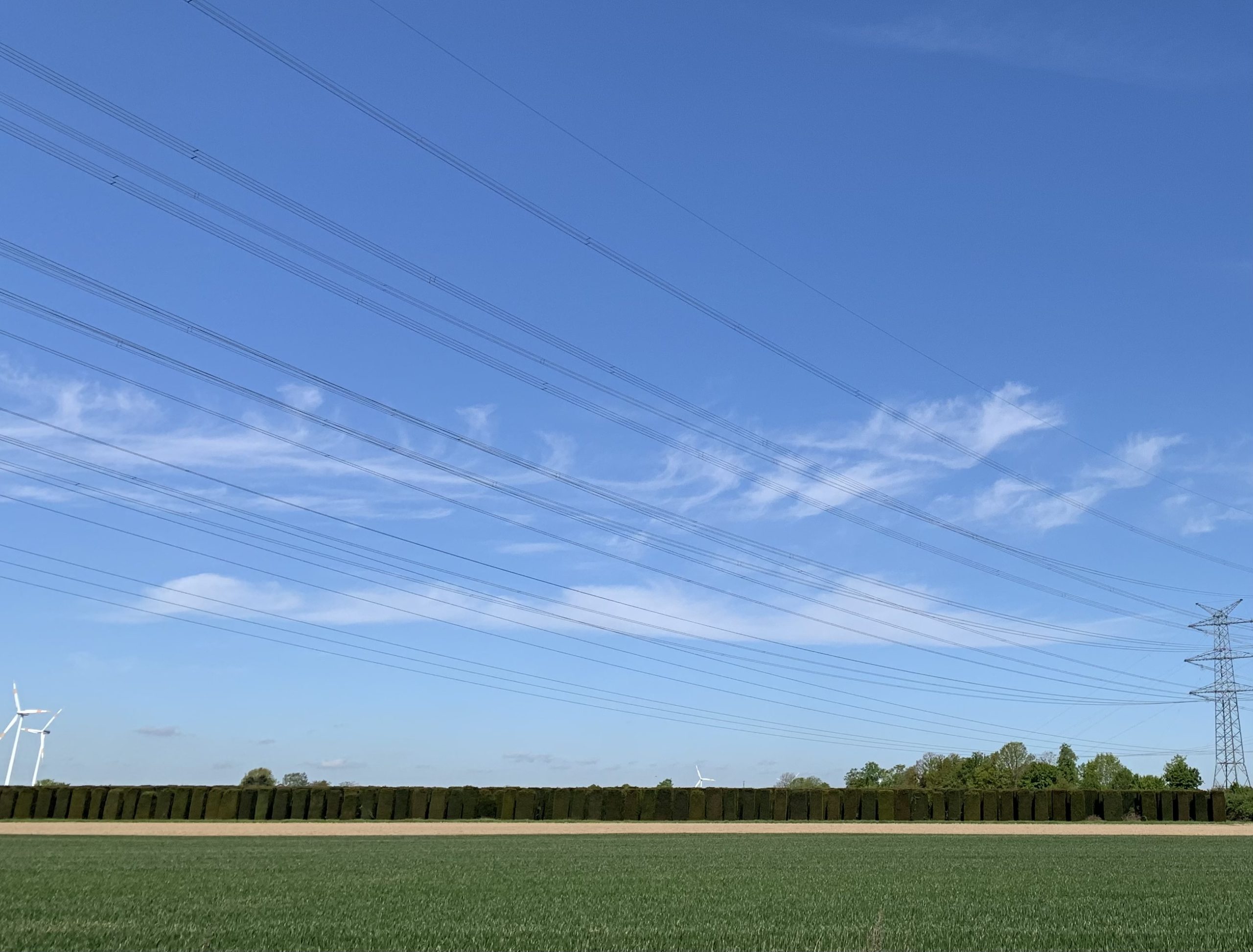 06 Frühling 2