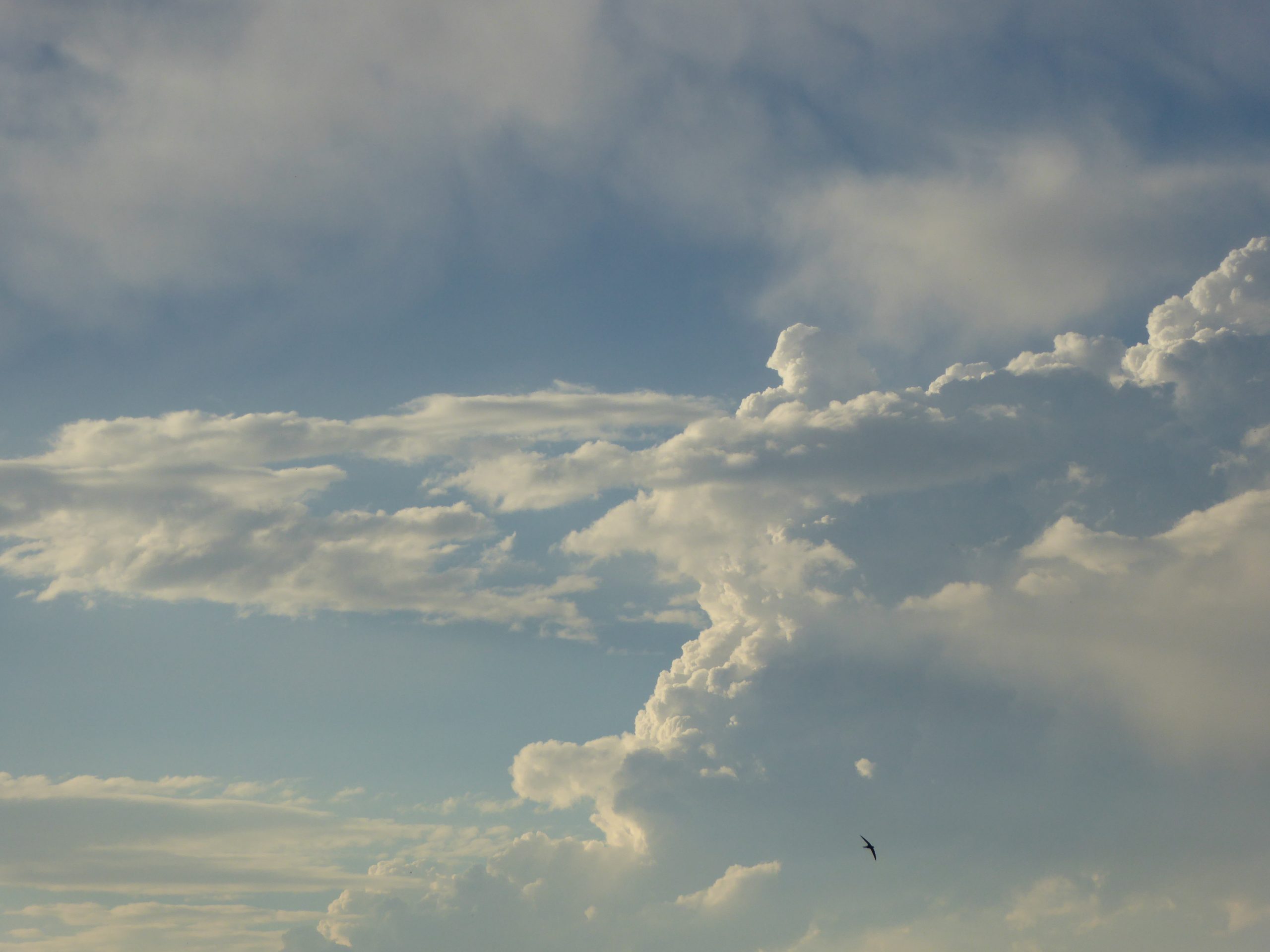 10 Wolken 3