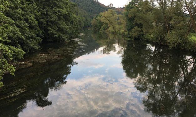 Sauerland – mein Herz schlägt……