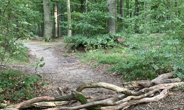 Waldbaden – die Zweite