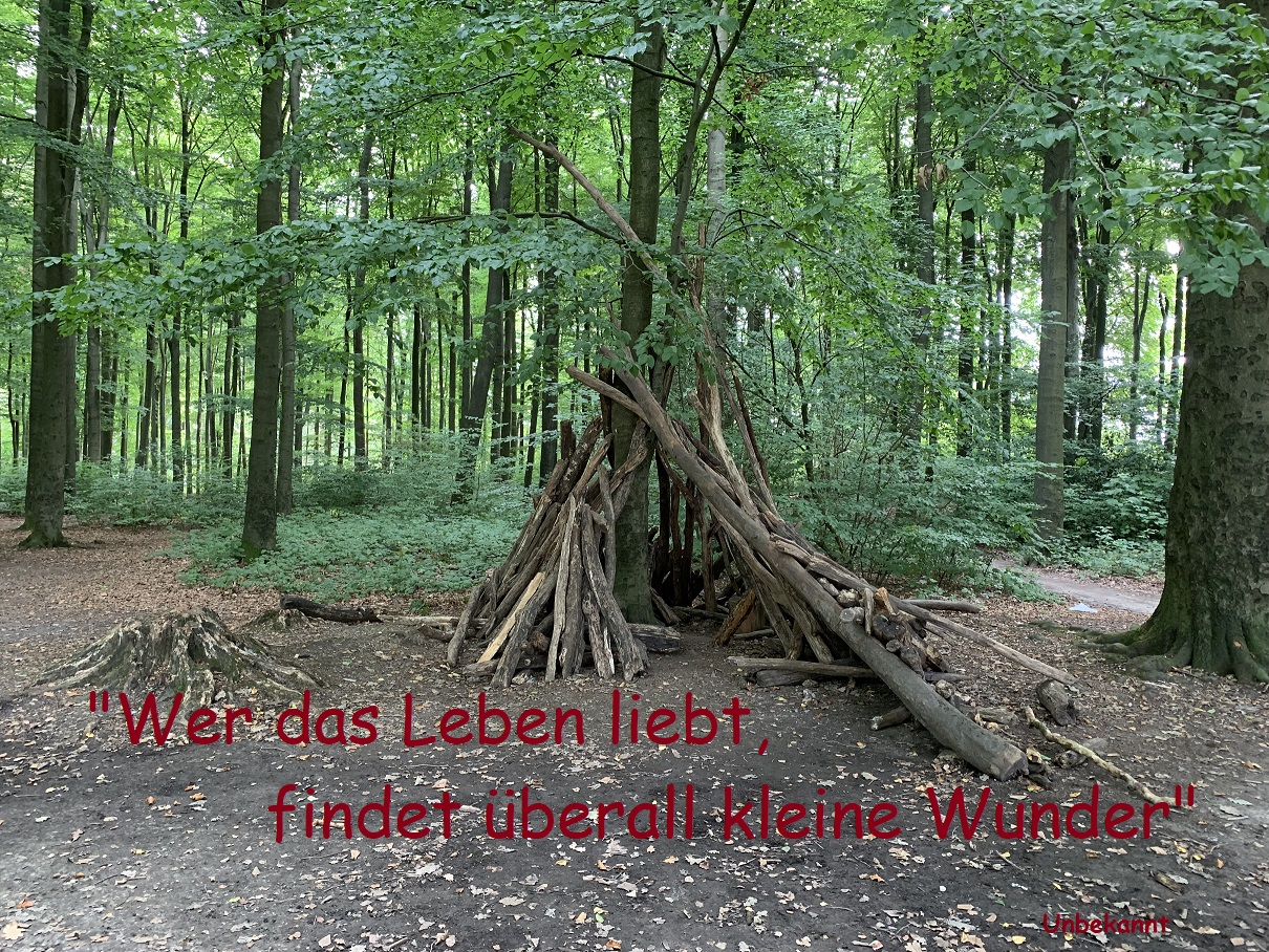 001a Spruch