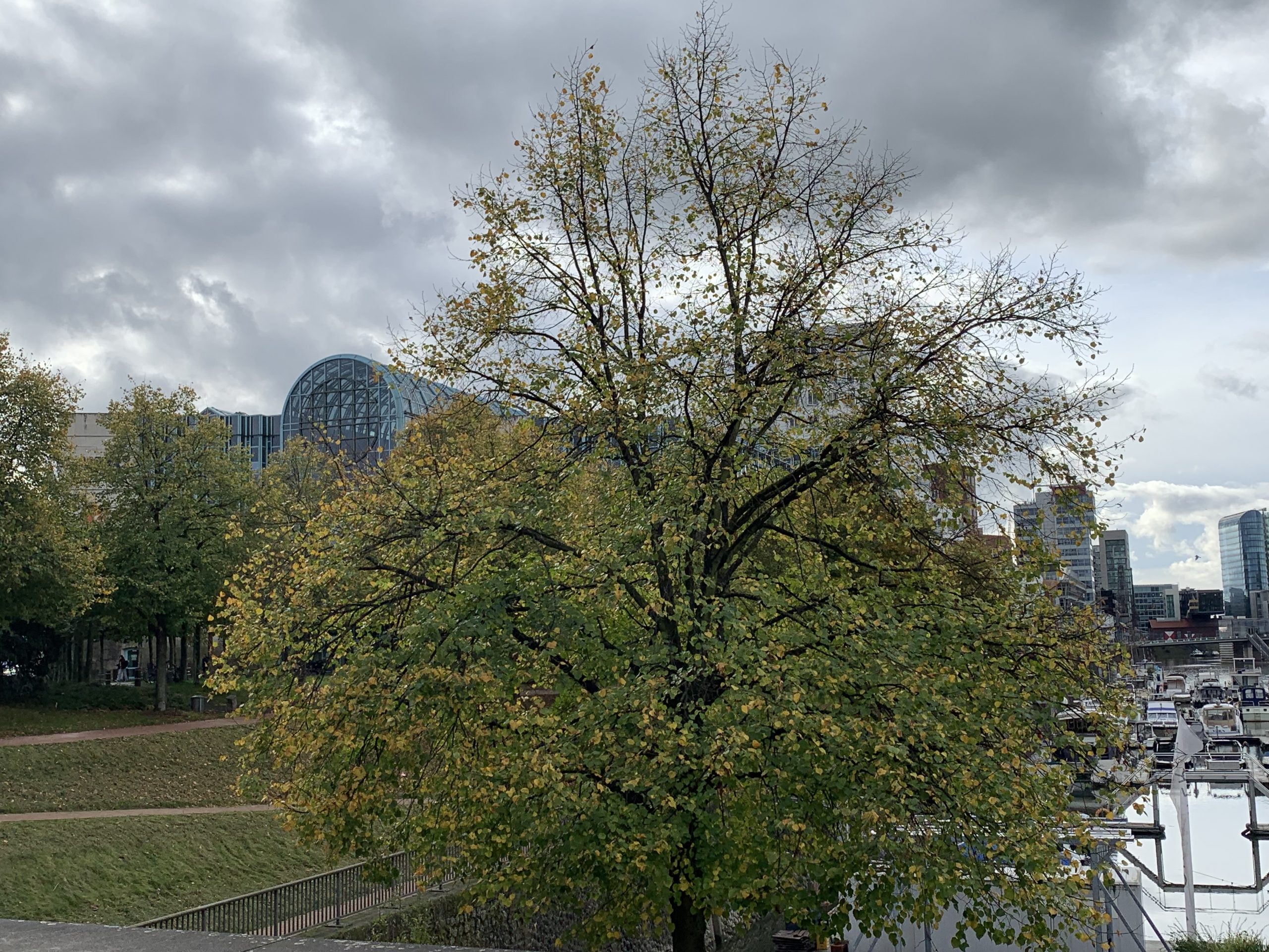 04 Blick in den Medienhafen 3