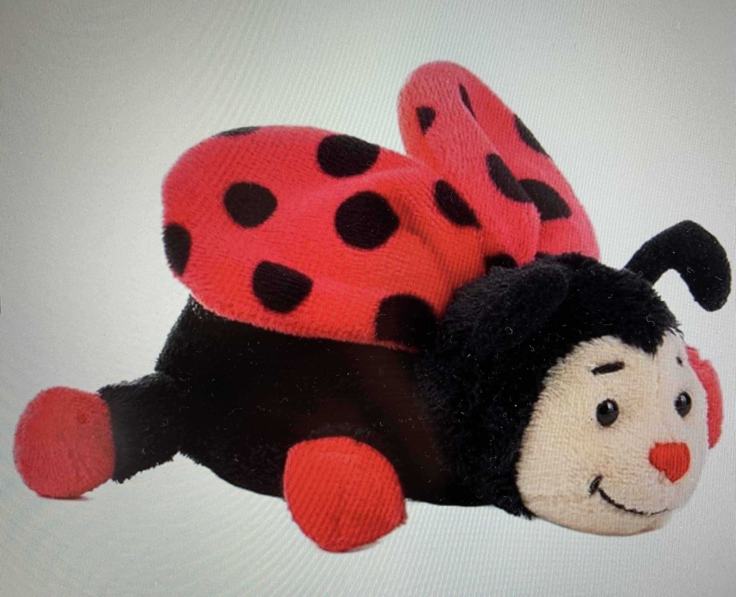 07 Krabbeltierchen