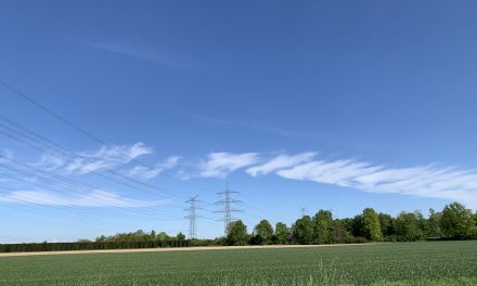 Sonntagsspaziergang