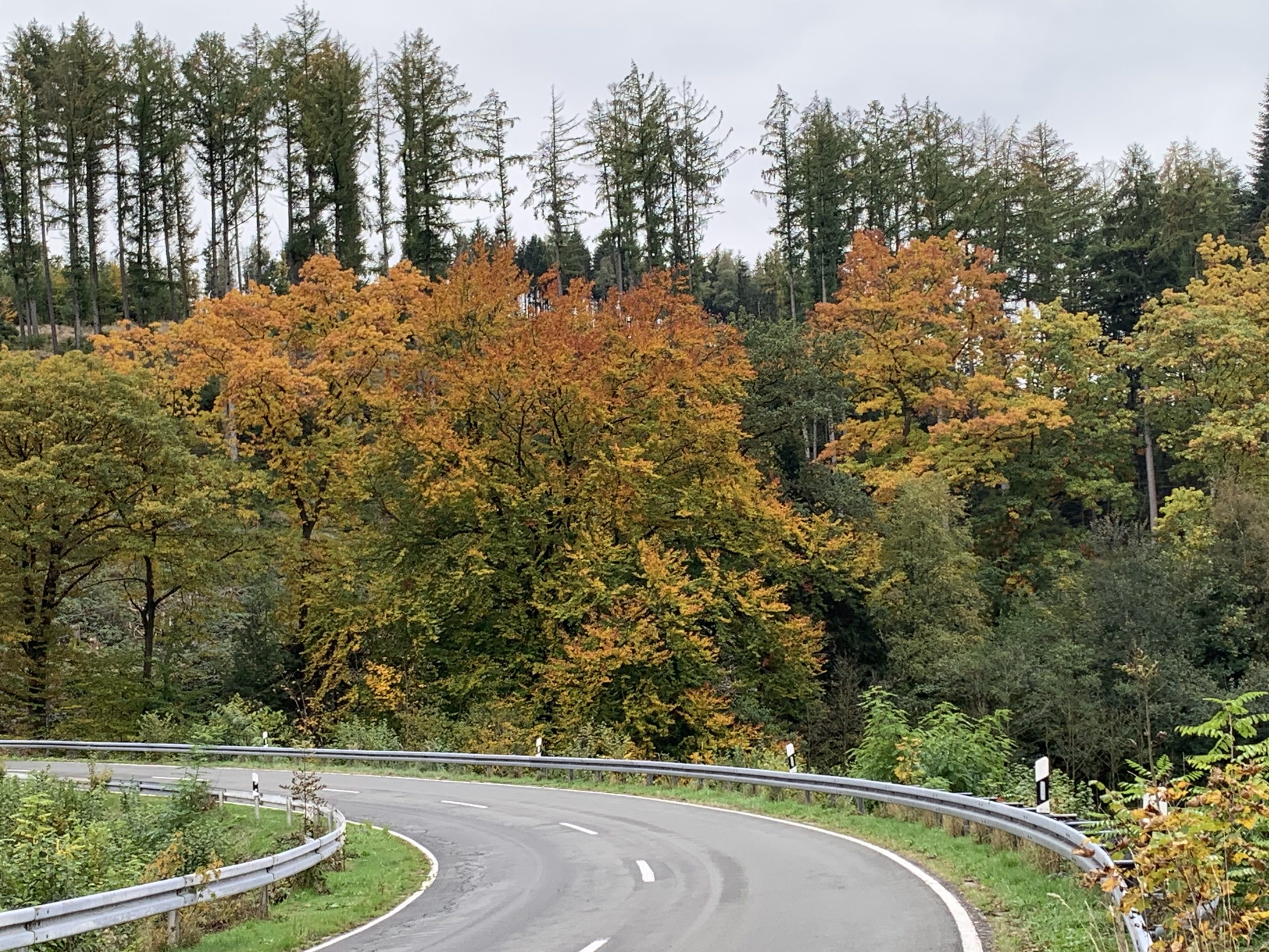 12 auf dem Weg zur Fürwigge 1